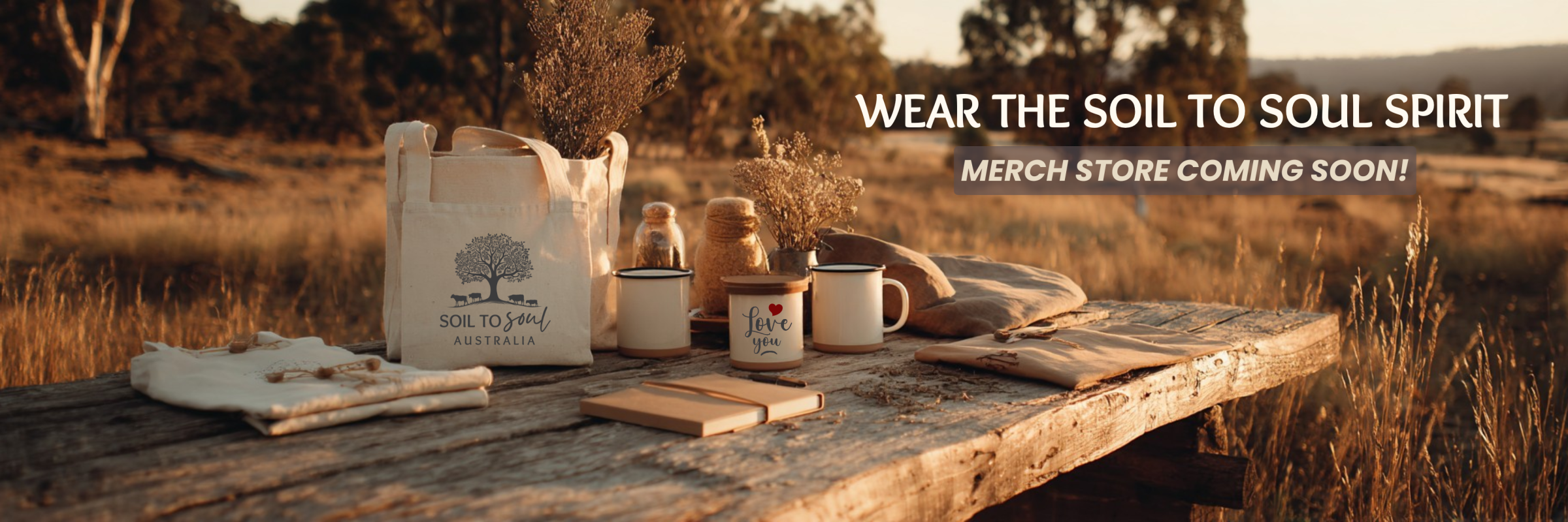2 course bannersMERCH