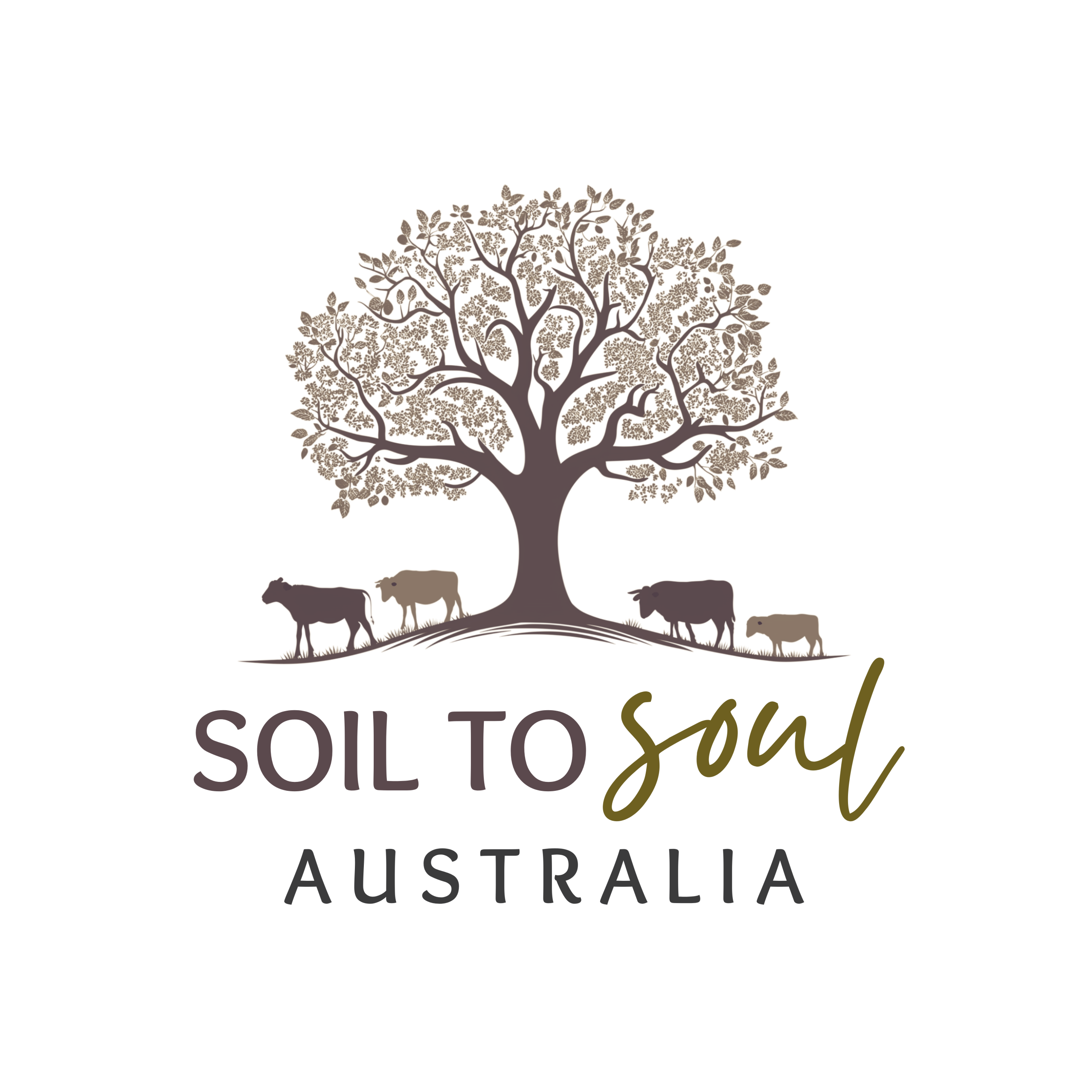 Soil To Soul